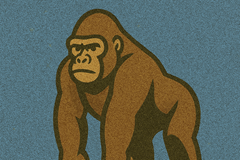 Zoo Gorilla